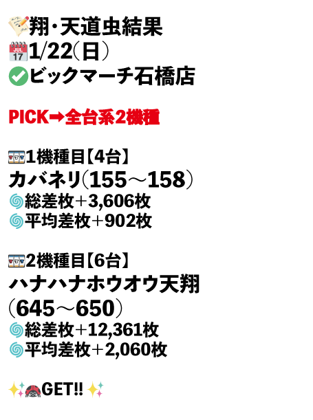 ビックマーチ石橋店画像1