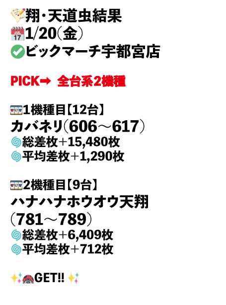 ビックマーチ宇都宮店画像1