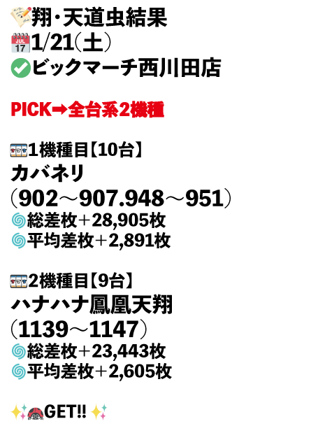 ビックマーチ西川田店画像1